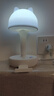 京黔台灯床头灯卧室阅读灯小夜灯婴儿喂奶护眼灯宿舍学习插座台灯 实拍图