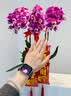 BHO【全网热销100万+】适用苹果手表表带apple watch s12运动表带iWatch s11/10/9/ultra4/se硅胶表带 实拍图