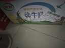 伊利【新鲜日期】纯牛奶250ml*24盒 优质乳蛋白 严选牧场 年货礼盒装 实拍图