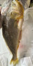 黄小渔宁德三去黄花鱼600g/4条大黄鱼生鲜海鲜水产深海鱼类烧烤年货送礼 实拍图