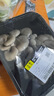 房山平菇300g 实拍图