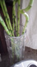 吕姆克花瓶玻璃鲜花竹子水养水培插花容器加厚款大号落地花瓶高40cm0831 实拍图