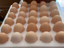 京鲜生 无抗保洁鲜鸡蛋30枚/盒 健康轻食 礼盒送礼 1.5kg/盒 源头直发 实拍图
