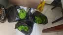 无印良品100%纯棉老粗布枕巾男士夏季防头油枕垫一对全棉高端盖巾家用床品 皇室贵族-米白【全棉亲肤纱布】 53cm*78cm 枕巾一对 实拍图