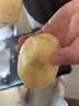 苏拉达（Surada）纸盘手工diy绘画盘儿童幼儿园多功能纸盘教学材料一次性白色纸碟涂鸦圆形纸盘涂鸦绘画 实拍图