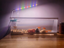 阔庭（KUOTING）鱼缸水族箱客厅桌面生态造景家用带灯制氧过滤鱼缸白色【超大号】 实拍图