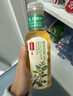 农夫山泉【新口味】东方树叶陈皮白茶500ml*15瓶无糖茶饮料0糖0脂0卡年货 实拍图