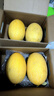 京鲜生 黄金哈密瓜 2粒 单果2.5斤起 净重6-8斤 生鲜水果年货礼盒 实拍图