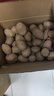 【真便宜】红皮土豆高原黄心土豆马铃薯红皮黄心洋芋 蔬菜水果 红皮土豆 9斤 净重 单果1-3两 实拍图