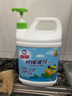 白猫 柠檬薄荷洗洁精5kg A类食品用祛油除腥青柠薄荷香洗洁精 实拍图