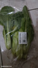 小白菜约250g 实拍图