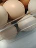 京鲜生可生食标准鲜鸡蛋30枚礼盒装3斤 源头直发 实拍图