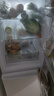 海尔冰箱出品统帅180L两门小冰箱家用二级能效不占地低噪节能省电以旧换新补贴 实拍图