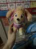 汪汪队立大功（PAW PATROL）汪汪队玩具毛绒全套狗狗玩偶公仔男女孩玩具旺旺队儿童生日礼物 站姿款-天天公仔 中号-坐或站高约17~22.9CM 实拍图