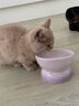 乐优派猫碗陶瓷狗碗猫食盆狗盆宠物碗猫粮碗高脚防打翻猫咪用品 渐变紫 实拍图