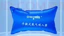 欧格斯氧气袋便携氧气瓶医用家用储氧吸氧袋充氧袋孕妇老人大容量42L 实拍图