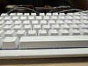 罗技（Logitech）灵砚系列 K848 有线键盘 机械键盘 客制化键盘 办公键盘 K845升级款  白色 实拍图