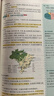 一本初中地理基础知识大盘点 2026同步教材思维导图串记七八九年级期中期末中考总复习速查速记背记手册 实拍图