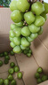 阳光玫瑰葡萄晴王青提香水提子山西新鲜水果一斤也是批发价 带箱5斤大果【单果克重10g-20g】（净重约4.5斤） 实拍图