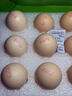 京鲜生鲜鸡蛋10枚/盒 健康轻食 营养健康1斤/盒 源头直发  实拍图