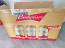 百威（Budweiser）经典纯生淡色拉格啤酒 500ml*18听整箱装 年货送礼 实拍图