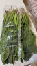 大菠菜300g 实拍图