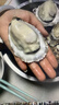 贝司令鲜活乳山生态生蚝2XL 净重9斤 32-38只 生鲜源头直发露营聚会 实拍图