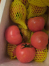京鲜生 山东普罗旺斯西红柿 净重4.5斤 单果115g+ 沙瓤番茄 源头直发 实拍图