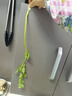 带根香菜100g 实拍图