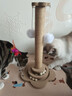HELLOJOY猫抓柱剑麻猫抓板猫玩具耐抓耐磨不掉屑猫爬架立式自嗨解闷用品 实拍图