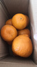 正宗云南宾川沃柑应季新鲜水果酸甜多汁整箱包邮 2斤装 实拍图