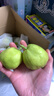 京鲜生 新疆库尔勒香梨 净重10斤 特级 单果120g以上 生鲜水果 实拍图