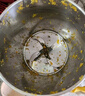 洁晖碎菜机碎草机喂鸡鸭鹅家用不锈钢饲料养殖粉碎机多功能切菜打菜机 【1600W】304不锈钢+铜芯电机+备用刀片 家用碎菜机商用碎草机粉碎机饲料养殖鸡鸭鹅养殖碎菜机 实拍图