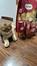 弗列加特猫粮 80%鲜肉含量 全价高肉天然粮 成猫猫粮鲜鸡肉味2kg 实拍图