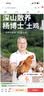 杨博士 皖南散养仔公鸡2只黑猪肉包子3袋组合 净重2.6斤 生鲜源头直发 实拍图