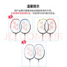 尤尼克斯（YONEX）羽毛球拍全碳素弓箭对拍套装比赛5U轻量ARC5I附手胶拍包尼龙球 实拍图
