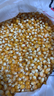 爆米花玉米粒 家用自做球形爆米花原料爆裂玉米豆干玉米粒 爆米花玉米1000克 实拍图