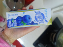 蒙牛真果粒蓝莓味牛奶饮品250g*12盒 小黄鸭IP 礼盒新老包装 含乳饮料 实拍图