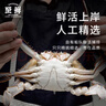 【冷冻】至鲜梭子蟹2.6斤/6-8只整只当季液氮冷冻3-5两/只吕四黄海海鲜螃蟹新鲜年货礼 实拍图