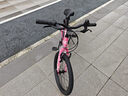 途锐达京东自营超轻铝合金自行车儿童6-12岁女孩单车元旦礼物蜂鸟20寸粉 实拍图