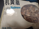 永富 有机大兴安岭滑子菇250g 东北特产黄蘑小鸡炖蘑菇煲汤火锅食材 实拍图