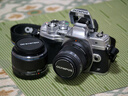 奥林巴斯（OLYMPUS）M.ZUIKO DIGITAL 45mm F1.8 定焦人像镜头 微单镜头 背景虚化 黑色 等效90mm 实拍图