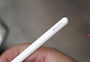 Apple/苹果 Pencil Pro 磁吸触控笔手写笔苹果笔电容笔书写绘画ipad笔 适用于iPad Pro/Air/mini机型 实拍图
