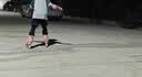 欧欧轮滑鞋儿童溜冰鞋男女童初学套装中小学滑轮滑冰旱冰鞋成人直排轮 紫-八轮全闪+头盔护具+铝合金支架 S (适合3-5岁)平时鞋码26-31 实拍图
