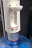 小熊（Bear）桶装水抽水器 饮水机抽水泵神器 水桶取水器 电动上水器矿泉水压水器自动吸水器 YSJ-F06Q1 实拍图