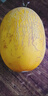 京鲜生 黄金哈密瓜 3-4粒  净重12斤 单果3斤起 生鲜水果年货礼盒 实拍图