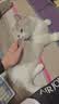 鲜朗冻干猫零食猫咪幼猫成猫营养鸡肉粒鸡胸肉非猫粮冻干零食 鸡鸭猪混合3包【囤货装 共170g】 实拍图