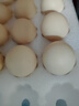 京鲜生 无抗保洁鲜鸡蛋30枚/盒 健康轻食 礼盒送礼 1.5kg/盒 源头直发 实拍图