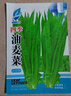 【京东物流】蔬菜种子四季播盆栽阳台庭院香菜生菜菠菜简单秋易种 油麦菜种子1包约1000粒 实拍图