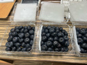 晟容果蔬云南花香蓝莓【空运-多地次日达】孕妇当季鲜果应季新鲜水果送礼 金奖·巨无霸 | 单果20-26mm 6盒装【甄选品质-巨划算】100g/盒 实拍图